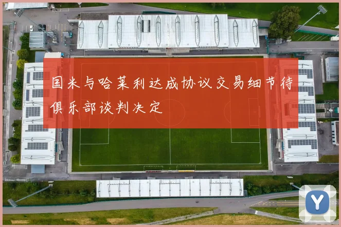 国米与哈莱利达成协议交易细节待俱乐部谈判决定
