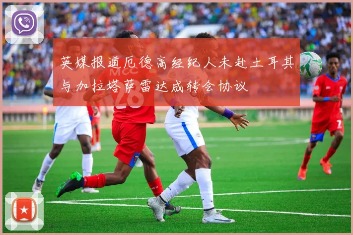 英媒报道厄德高经纪人未赴土耳其与加拉塔萨雷达成转会协议