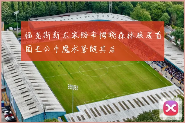 福克斯新东家赔率揭晓森林狼居首国王公牛魔术紧随其后